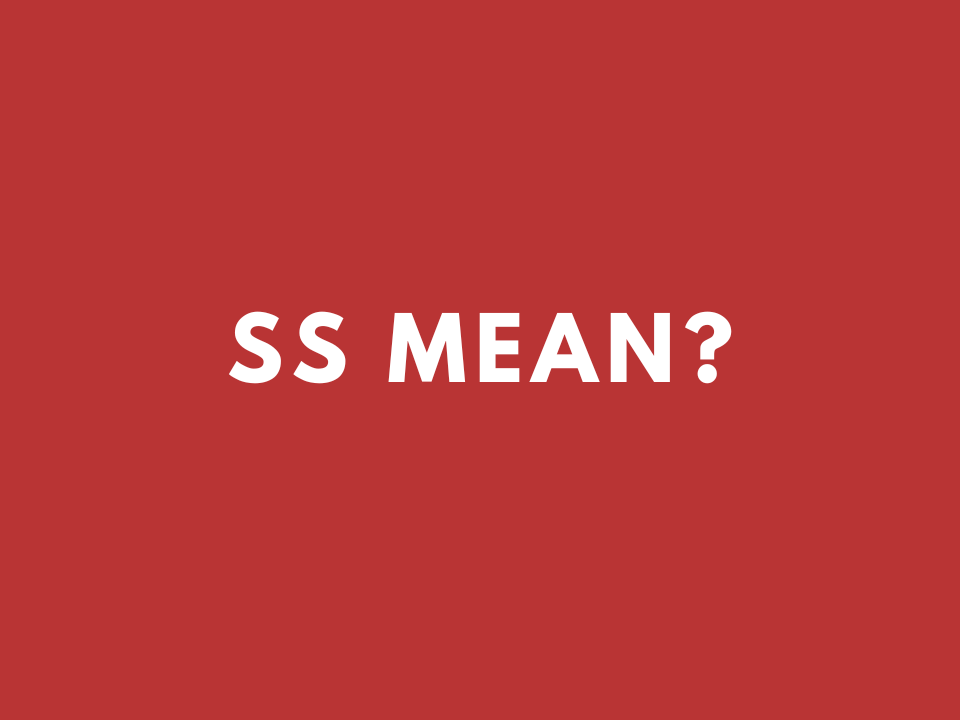 what-does-ss-mean-in-texting-with-examples-slang-sense