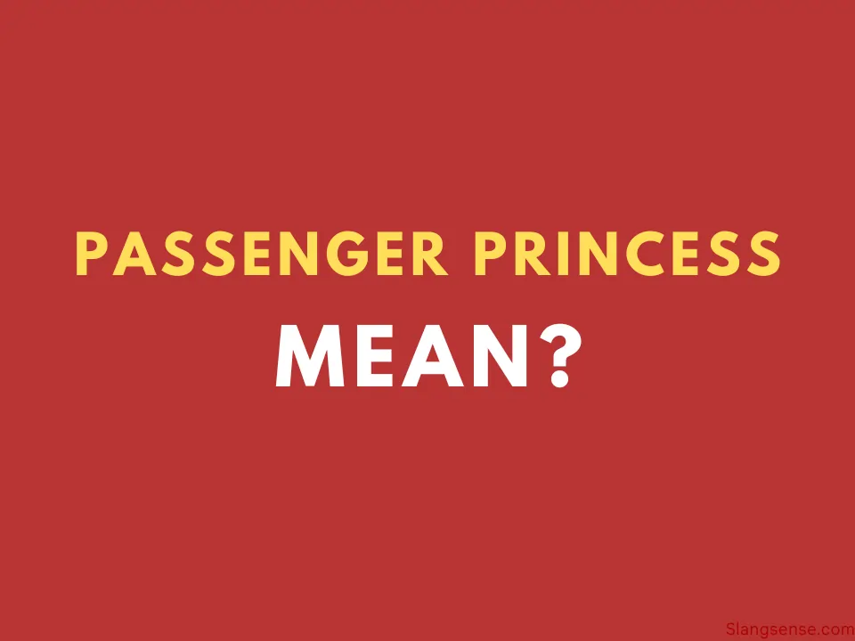 passenger-princess-meaning-with-examples-slang-sense