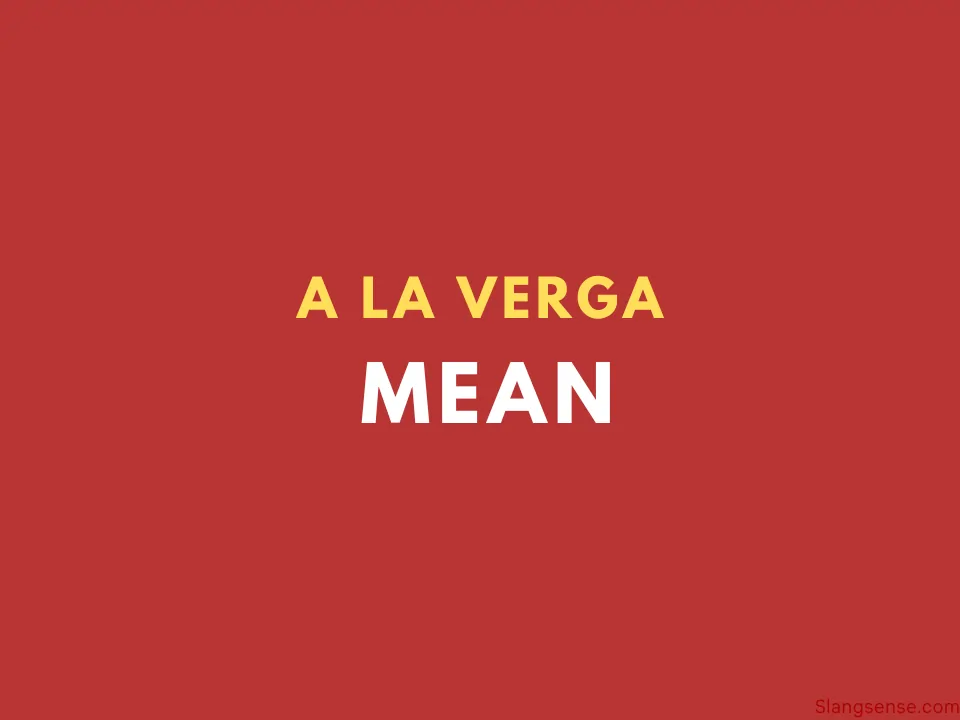 A La Verga Mean