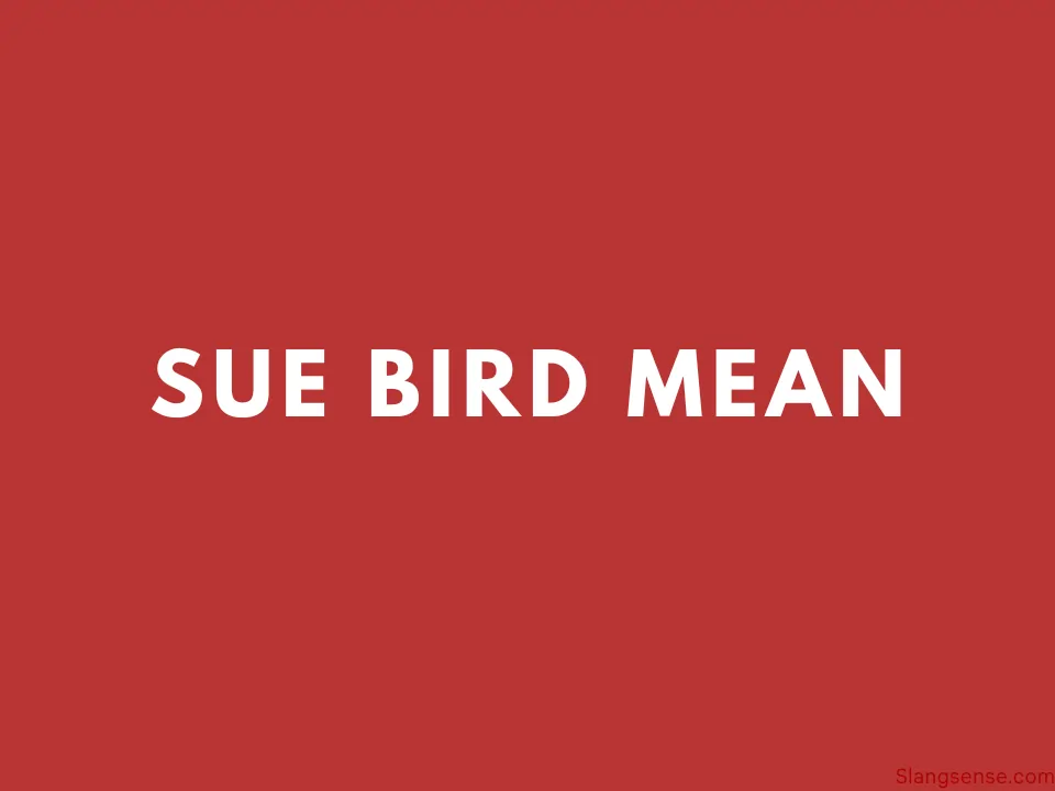 Sue Bird Mean