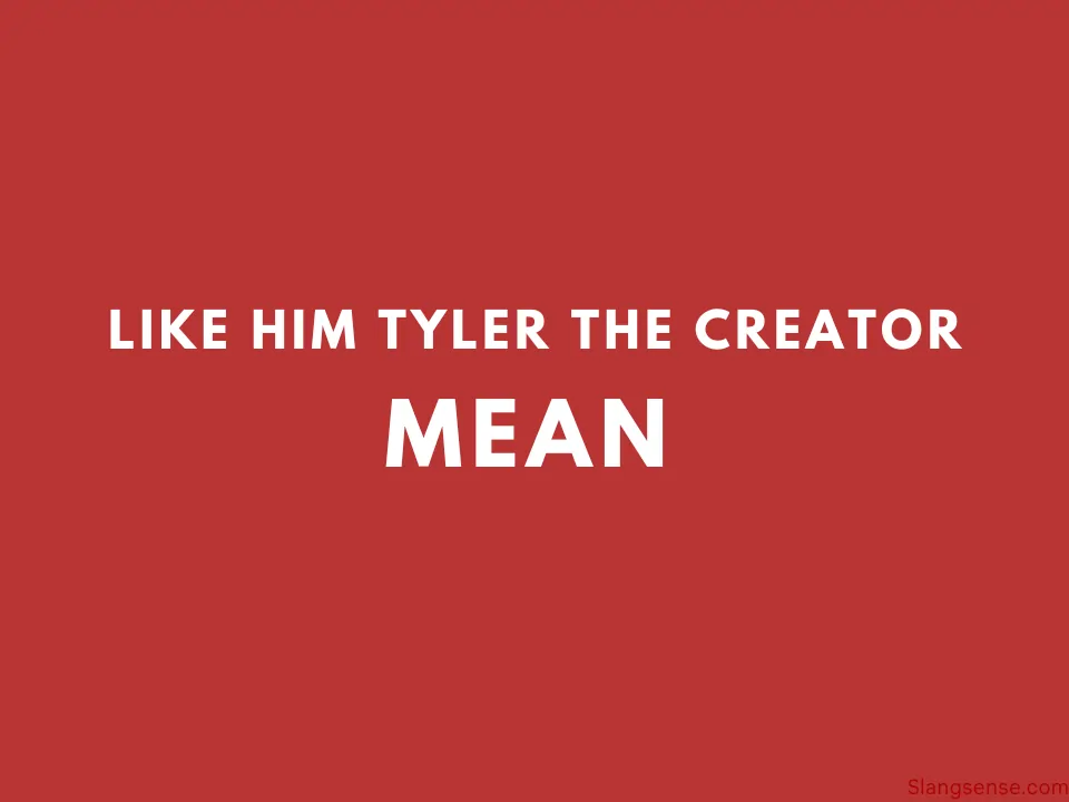 Like him tyler the creator mean